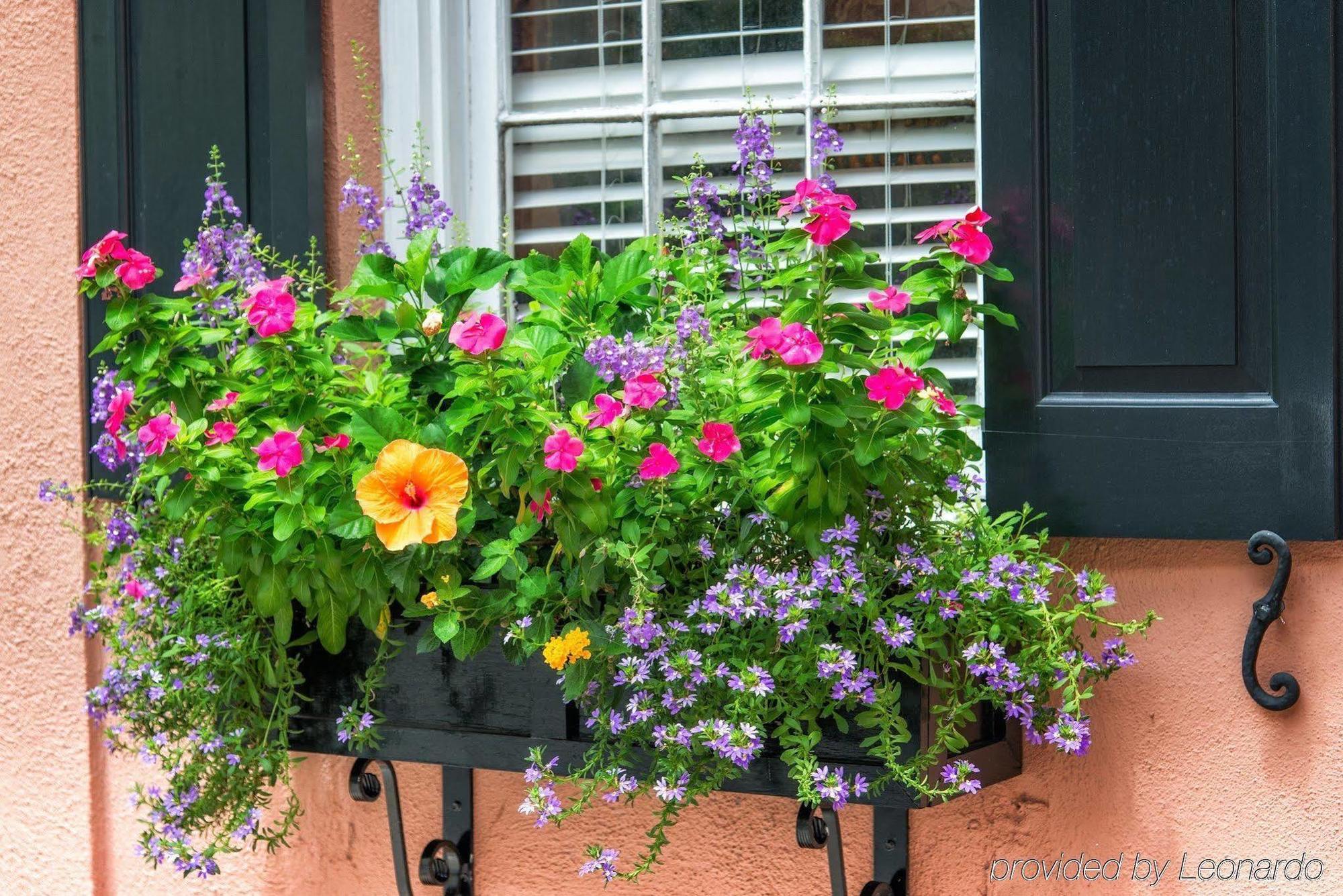 The Elliott House Inn Charleston Exteriér fotografie